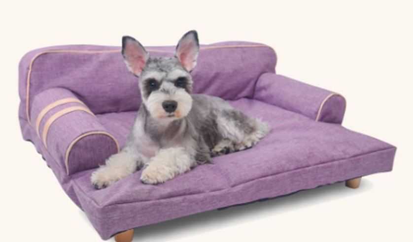 The best Pet comforts by Goldies the Gold standard